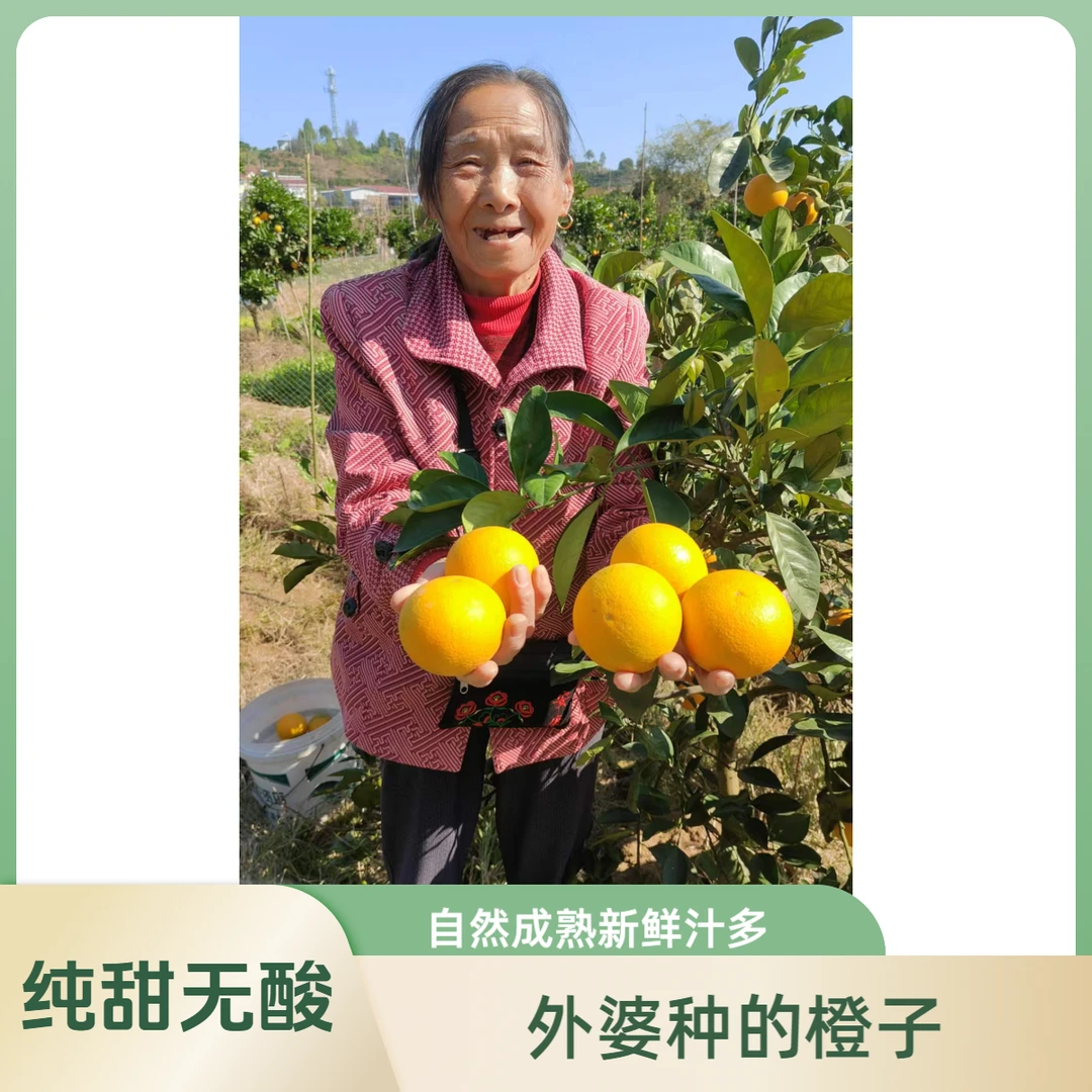 外婆家的冰糖橙湖南麻阳冰糖橙清甜多汁真现摘现发