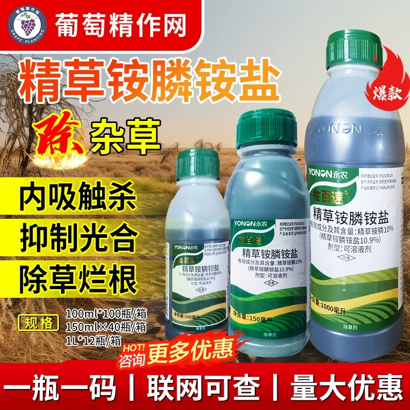 金百速精草铵膦铵盐烂根剂香蕉园果园花椰菜园杂草节节草除草剂