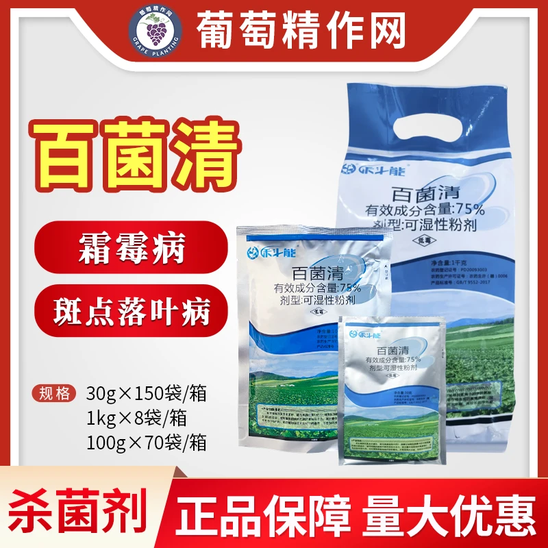中迅禾斗能科能75%百菌清苦瓜斑点落叶病苹果树霜霉病农药杀菌剂
