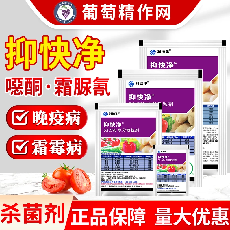 科迪华 抑快净噁唑菌酮霜脲氰黄瓜霜霉病晚早疫病杀菌剂农药