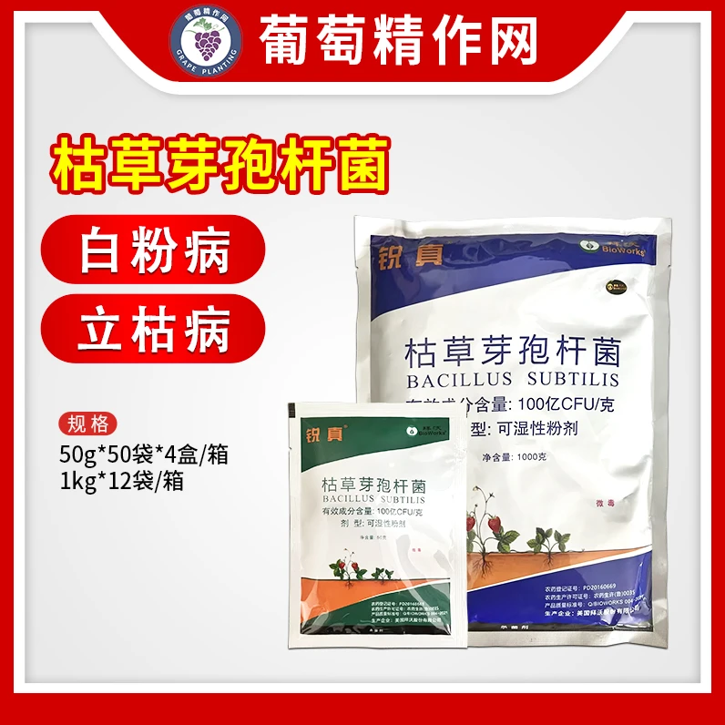 美国拜沃锐真枯草芽孢杆菌立枯病白粉病草莓人参农药杀菌剂微毒