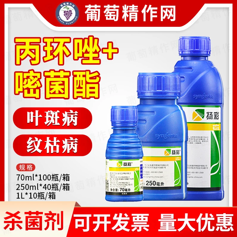 先正达扬彩嘧菌酯丙环唑香蕉小麦叶斑病玉米大小斑病农药杀菌剂