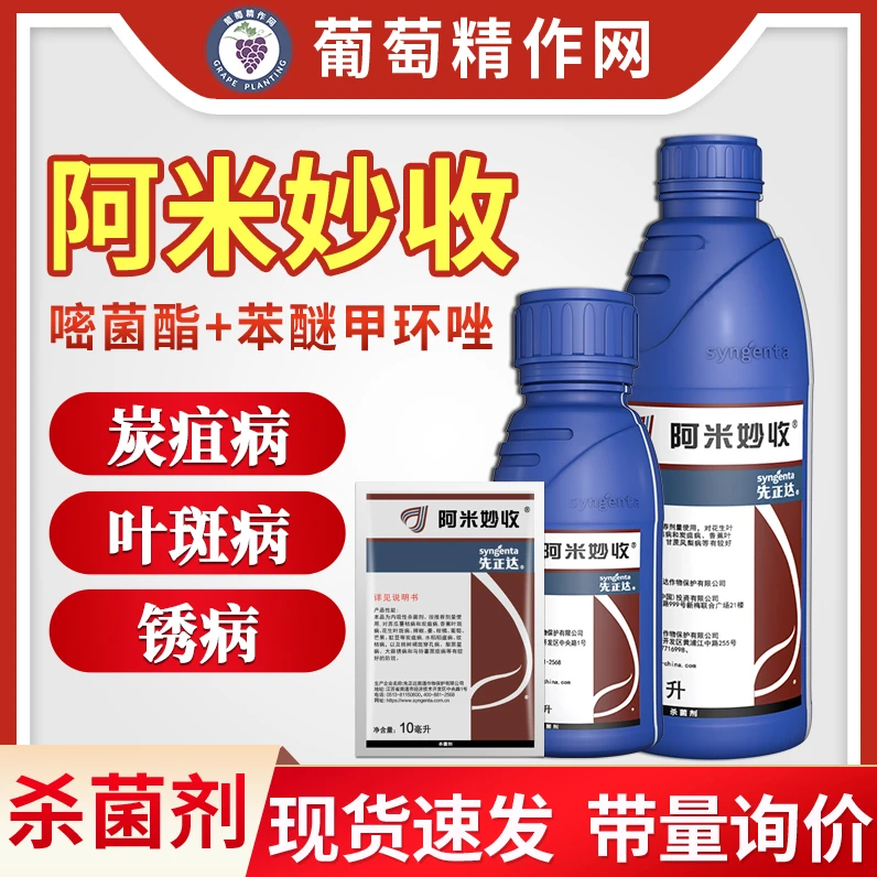 先正达阿米妙收金棠苯甲嘧菌酯西瓜蔓枯病多肉叶斑病炭疽病杀菌剂