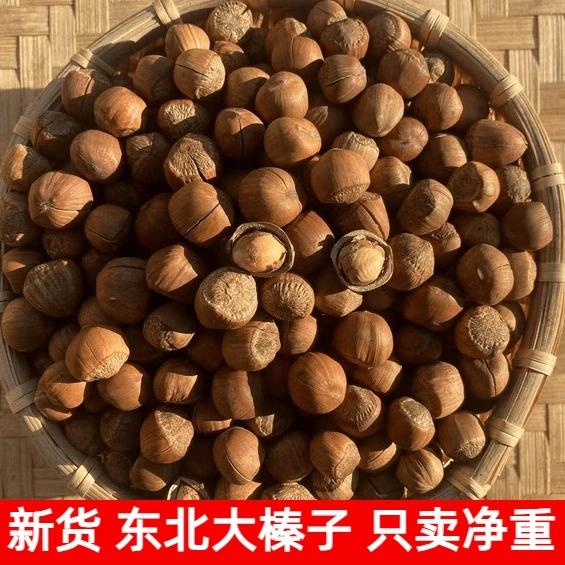 【送夹子】新货手拍美味榛子开口大颗粒榛子炒熟新鲜坚果小吃零食品