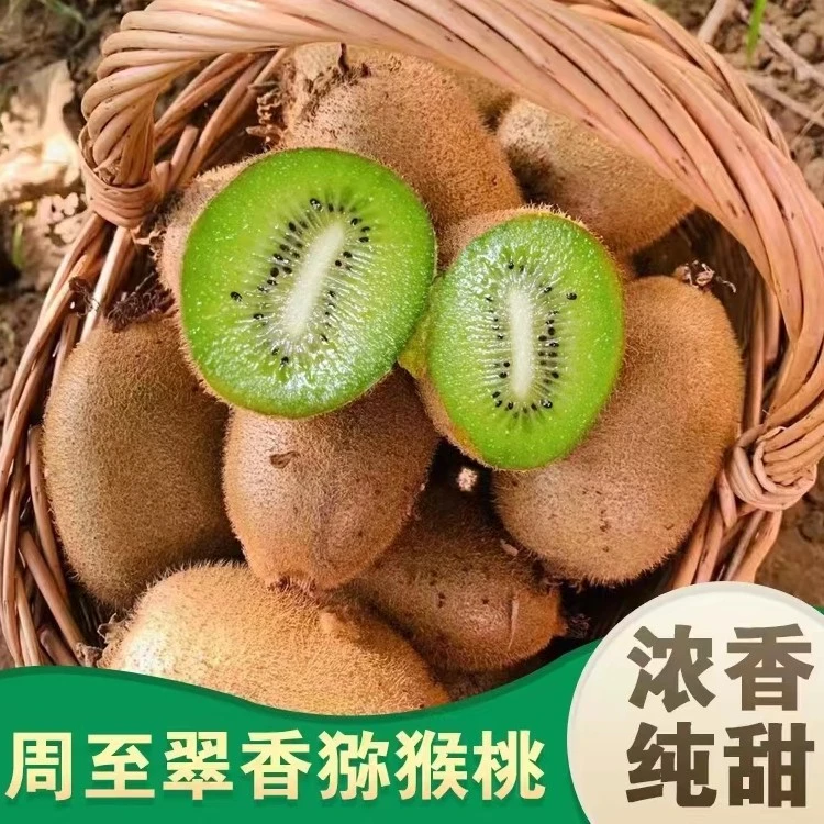 （中通快递奶糖专属）周至翠香猕猴桃纯甜60克－150克5斤包邮