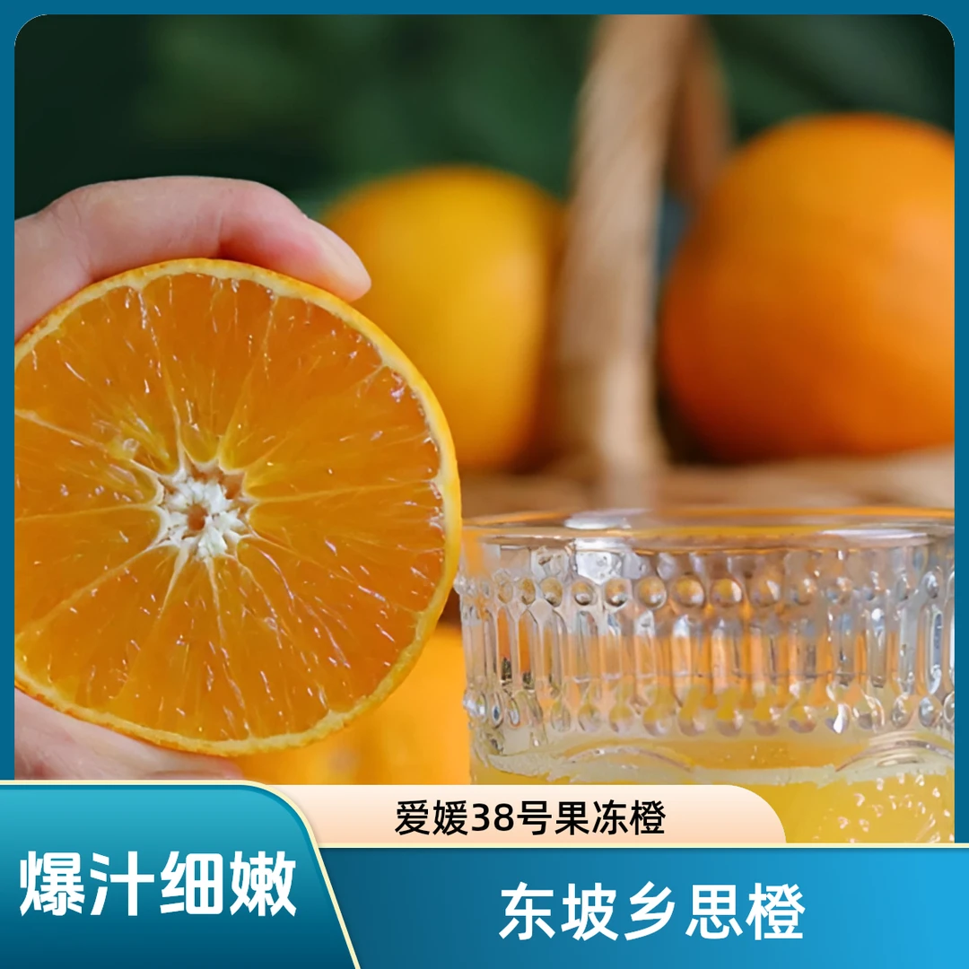 四川眉山爱媛38号果冻橙爆汁果肉细嫩皮薄产地直发当季水果现摘
