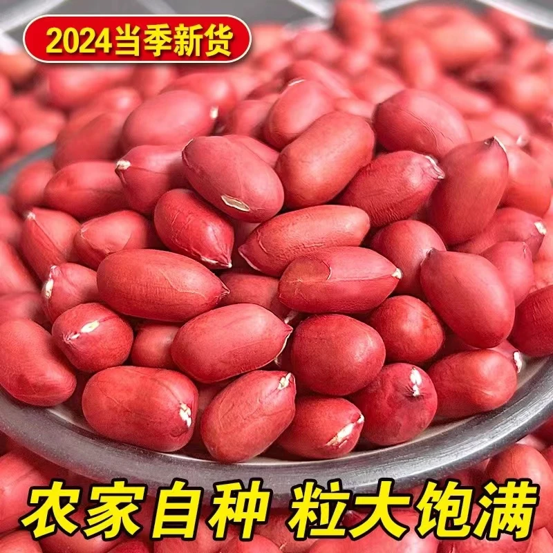 东北吉林梨树特产红皮花生米四粒红花生米3/5斤顺丰包邮