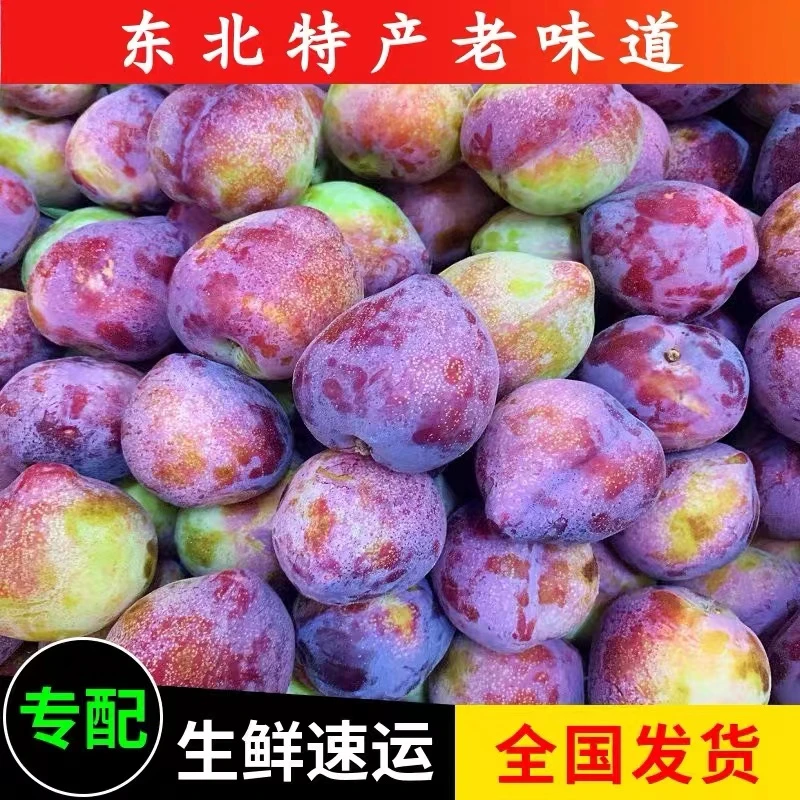 东北吉林梨树特产干碗桃李子吉盛李子3斤5斤顺丰包邮