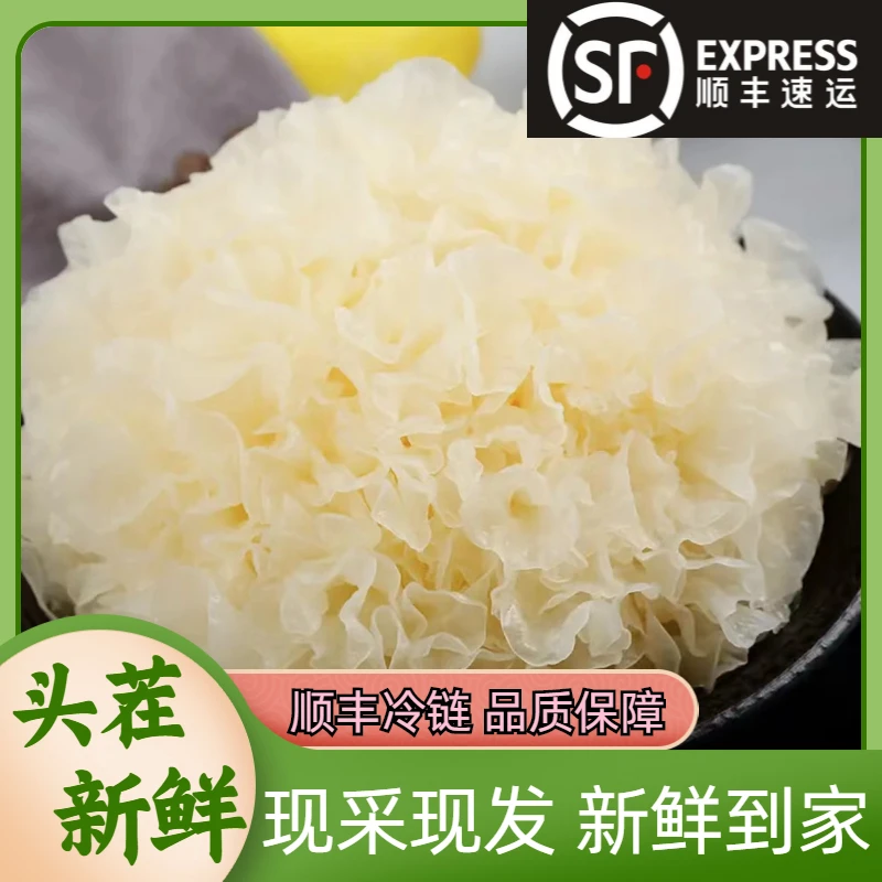 【庭燕庄】古田高山新鲜银耳3朵/6朵装顺丰包邮银耳