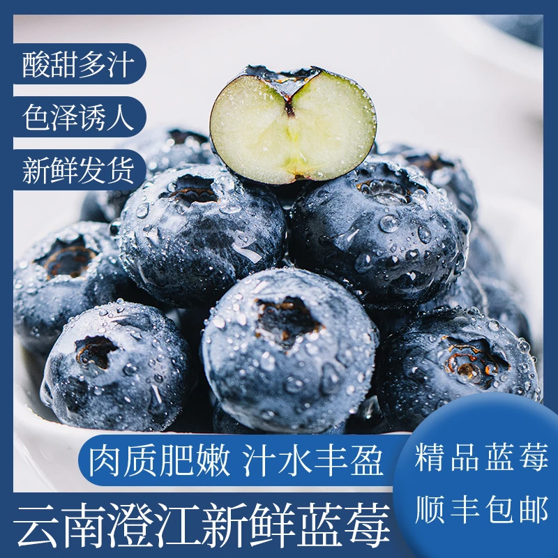 【莓小蓝】云南抚仙湖生态25花香蓝莓 新鲜现采顺丰包邮