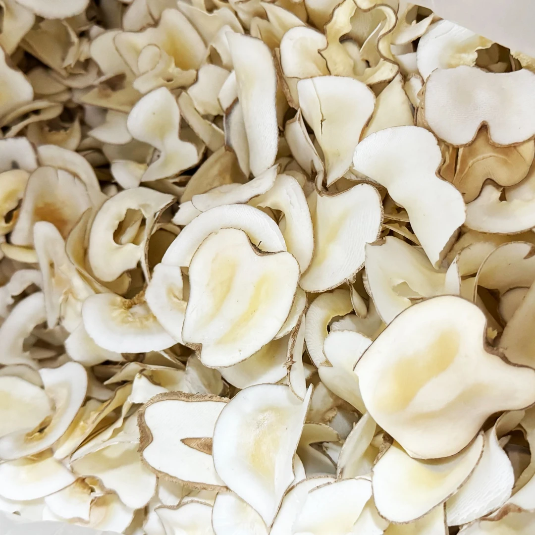 海低耶耶 福  百合干