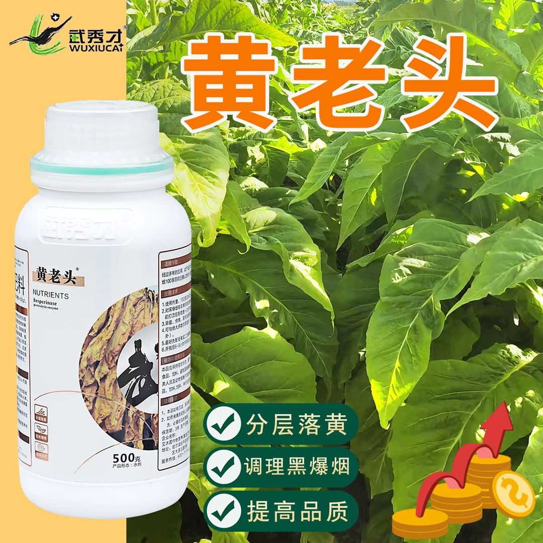 武秀才黄老头烤烟使用拉长增厚分层落黄防治憨烟黑爆烟水溶肥调理