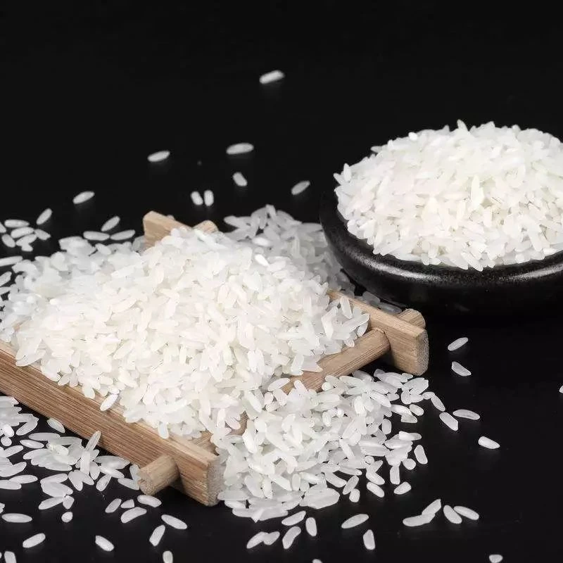 【2024年新米】光山生态稻虾米 5斤