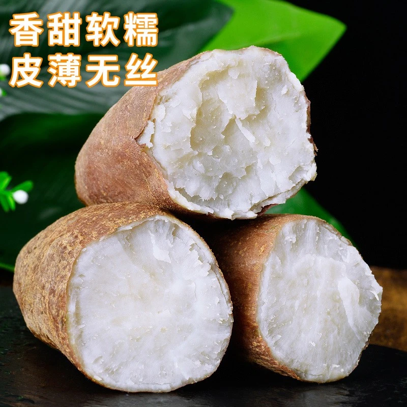 河南哈密冰糖白心蜜薯3/4.5斤 地瓜 无筋无丝新鲜优质