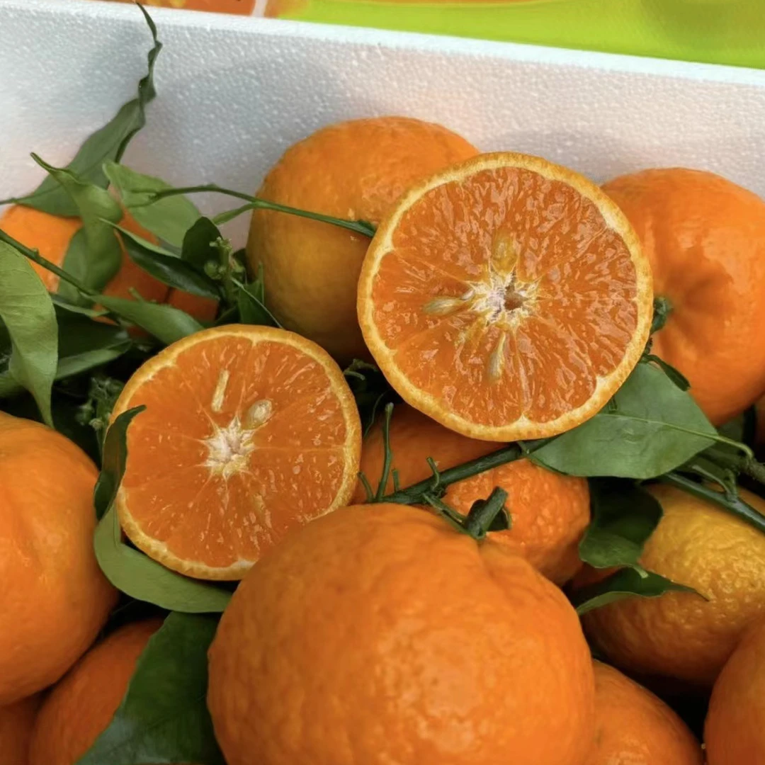 「明日见」带叶柑橘沃柑（8斤礼盒）（新鲜多汁）