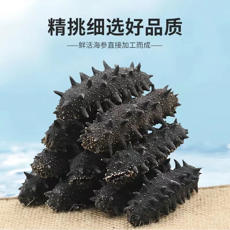 大连淡干海参 高涨发率顺丰包邮 半斤体验