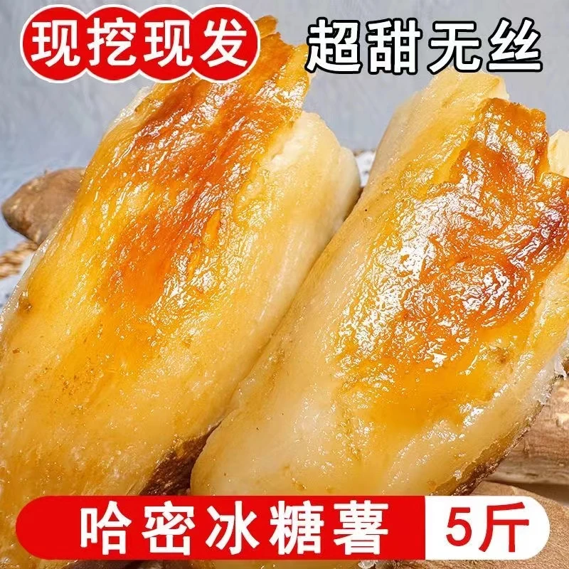 哈密冰糖薯河南沙地新鲜现挖白心糖心蜜薯红薯超甜番地瓜5斤山芋