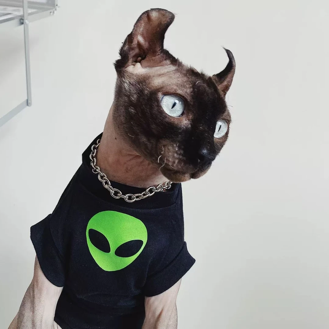 纯棉外星人无袖背心春夏无毛猫衣服德文衣服斯芬克斯猫衣服