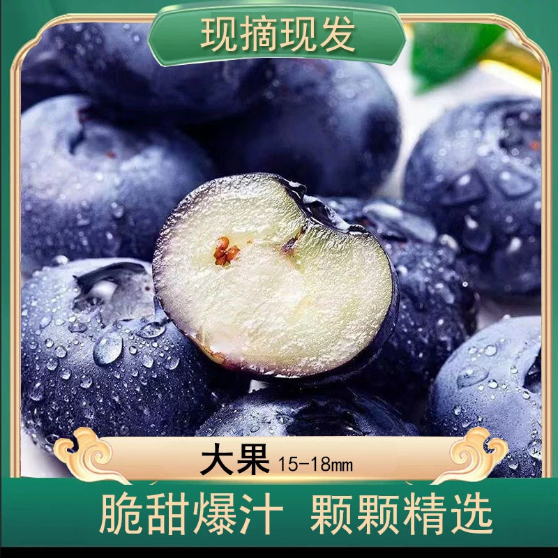 【蓝莓大果】15-18mm现摘现发 酸甜爆汁 应季新鲜蓝莓