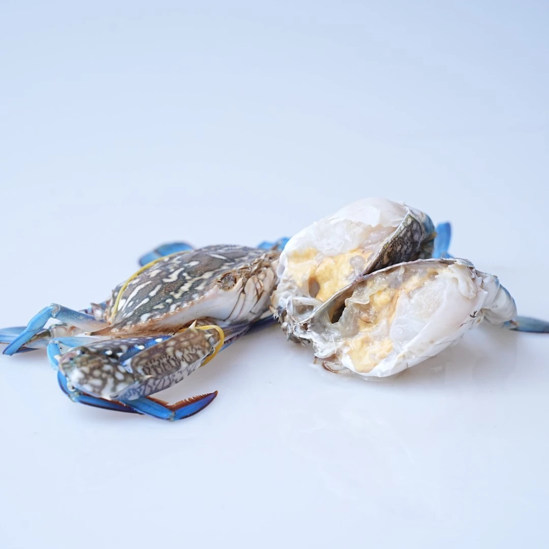 【兰花蟹3斤】福建省内可拍【保鲜不保活】1两以上一只公蟹