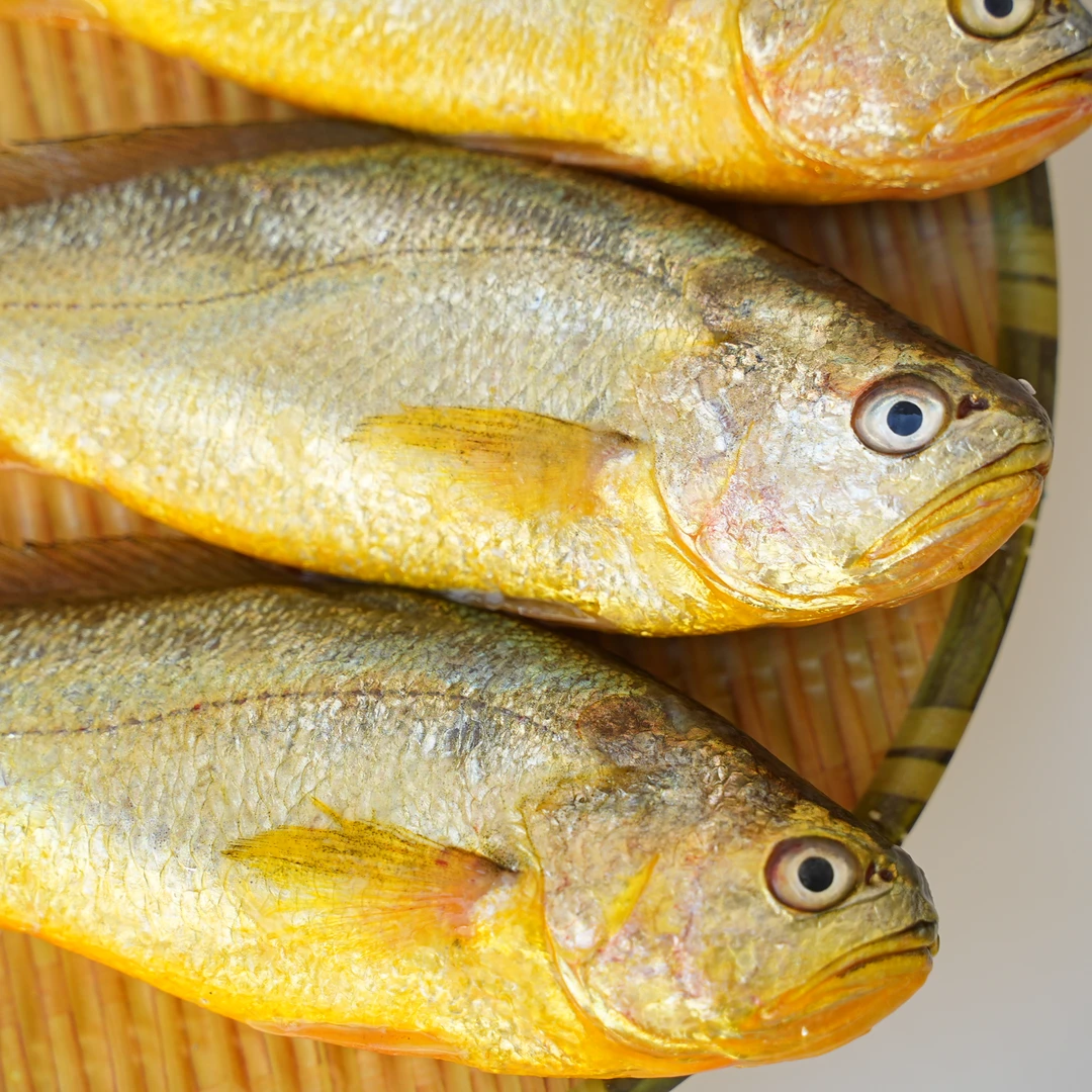 【黄鱼礼盒】黄瓜鱼（福州发货）福建省内可拍  按规格拍