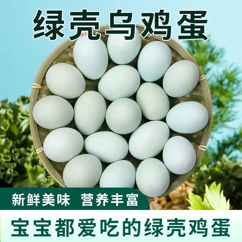 正宗散养天然农家乌鸡蛋30/40枚绿壳土鸡蛋新鲜健康月子蛋绿壳蛋