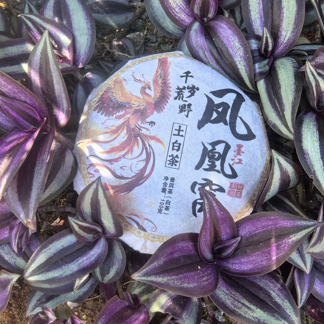 2020年墨江凤凰窝  千岁荒野 土白茶云南白茶饼100克 1号