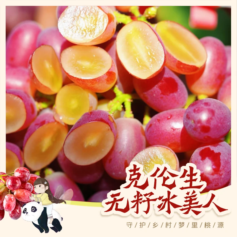 冉可七【京东/顺丰包邮】克伦生冰美人口口脆小糖豆纯甜无籽葡萄