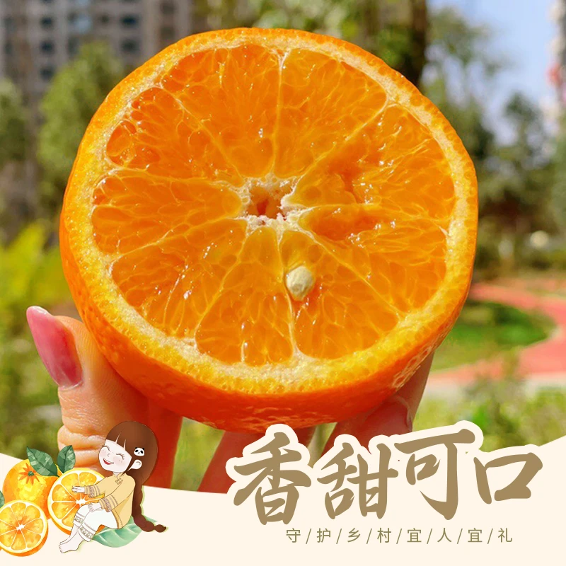 【冉可七】云南高山沃柑新鲜桔子橘子当季现摘现发整箱包邮