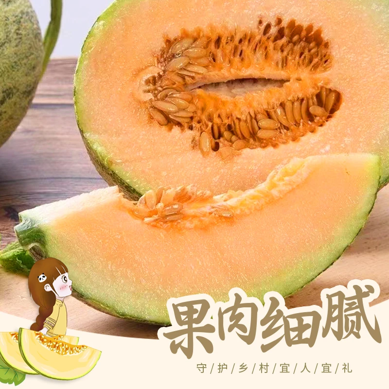 【京东包邮】海南哈密瓜晓密25号西州密薄皮脆甜当季水果