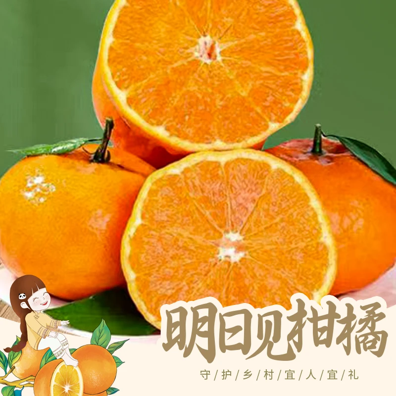 明日见柑橘皇后限定红宝石香甜多汁皮薄现摘4.5斤省钱风低卡水果