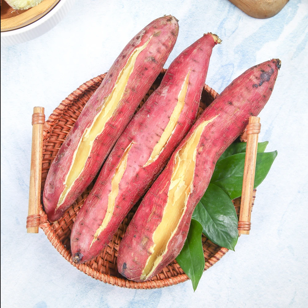 陕西板栗红薯4.5斤（中大果3-8两 约6-12个）