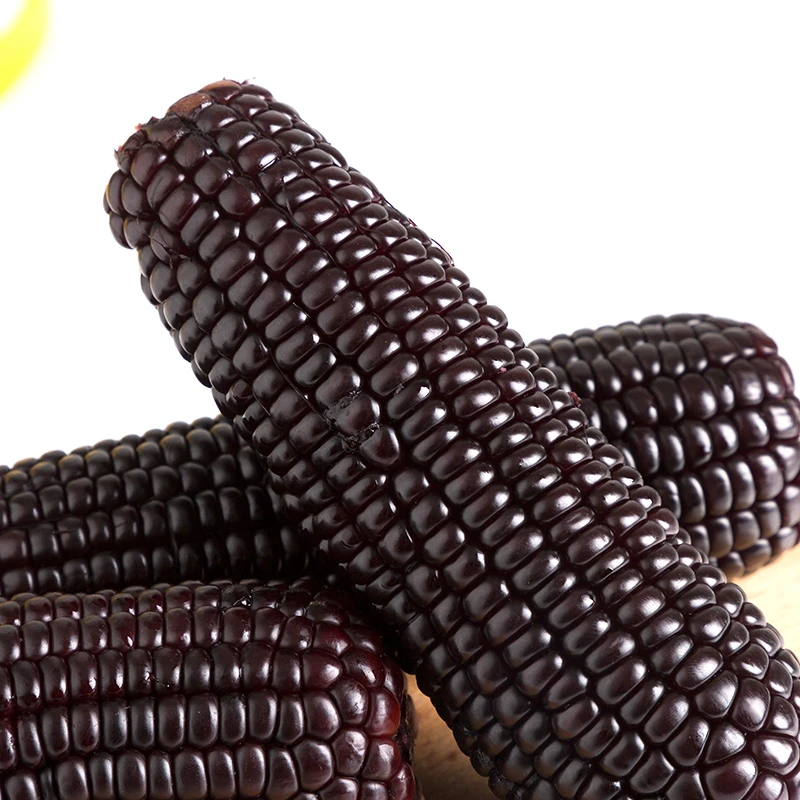 山西黑糯玉米10根装(220g/根)颗粒饱满真空包装