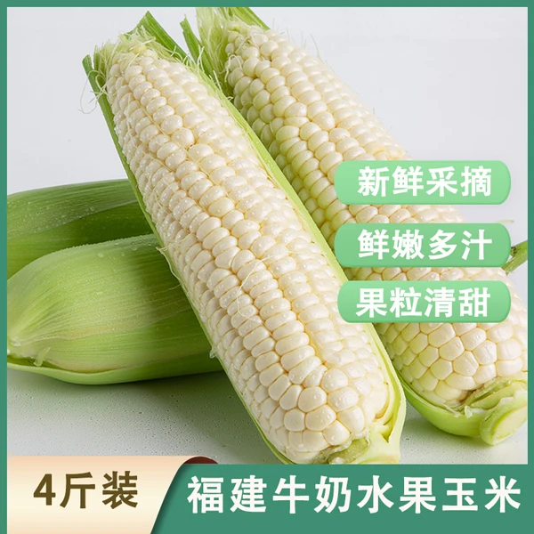 中秋团圆季福建牛奶水果玉米4斤净重颗粒饱满清甜可生吃