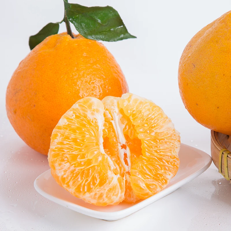 【悠然专属】四川春见耙耙柑4.5斤装 新鲜现摘应季水果