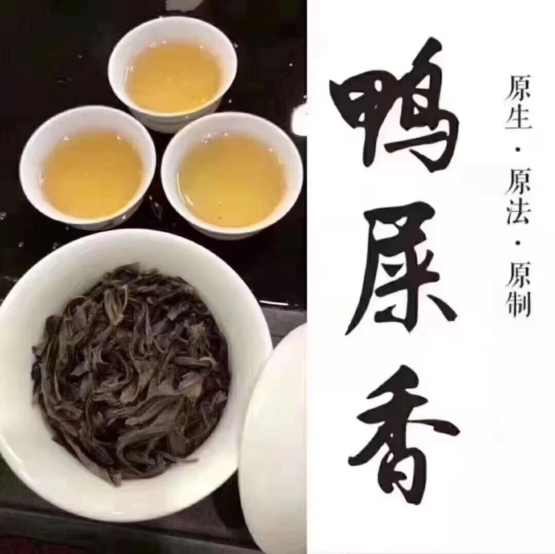 鸭屎香【花香奶香奶韵】水甜回甘香气浓郁好茶传统茶叶