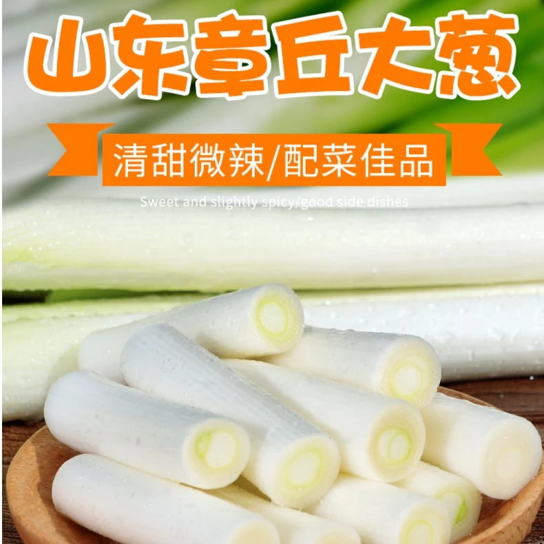 山东正宗章丘大葱新鲜特选葱白长香甜高白脆生吃自种佳品香味浓郁