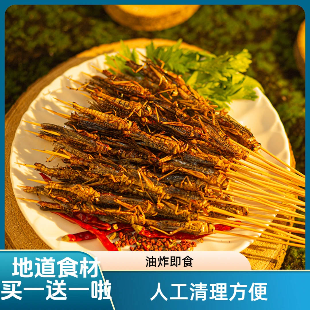 蚂蚱串油炸即食新鲜嘎嘣脆正宗冬娜蚂蚱零食烧烤香酥野炊小吃