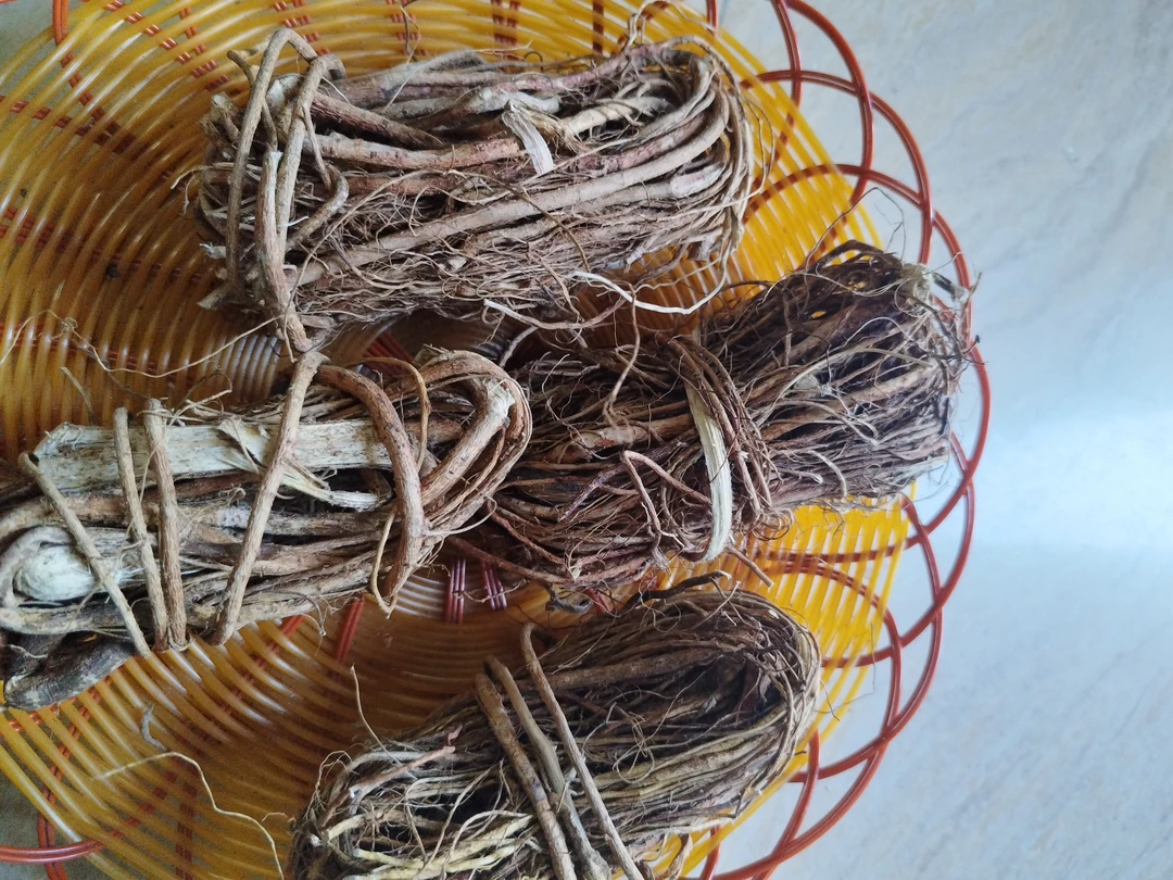 五指毛桃，可煲汤，煮水