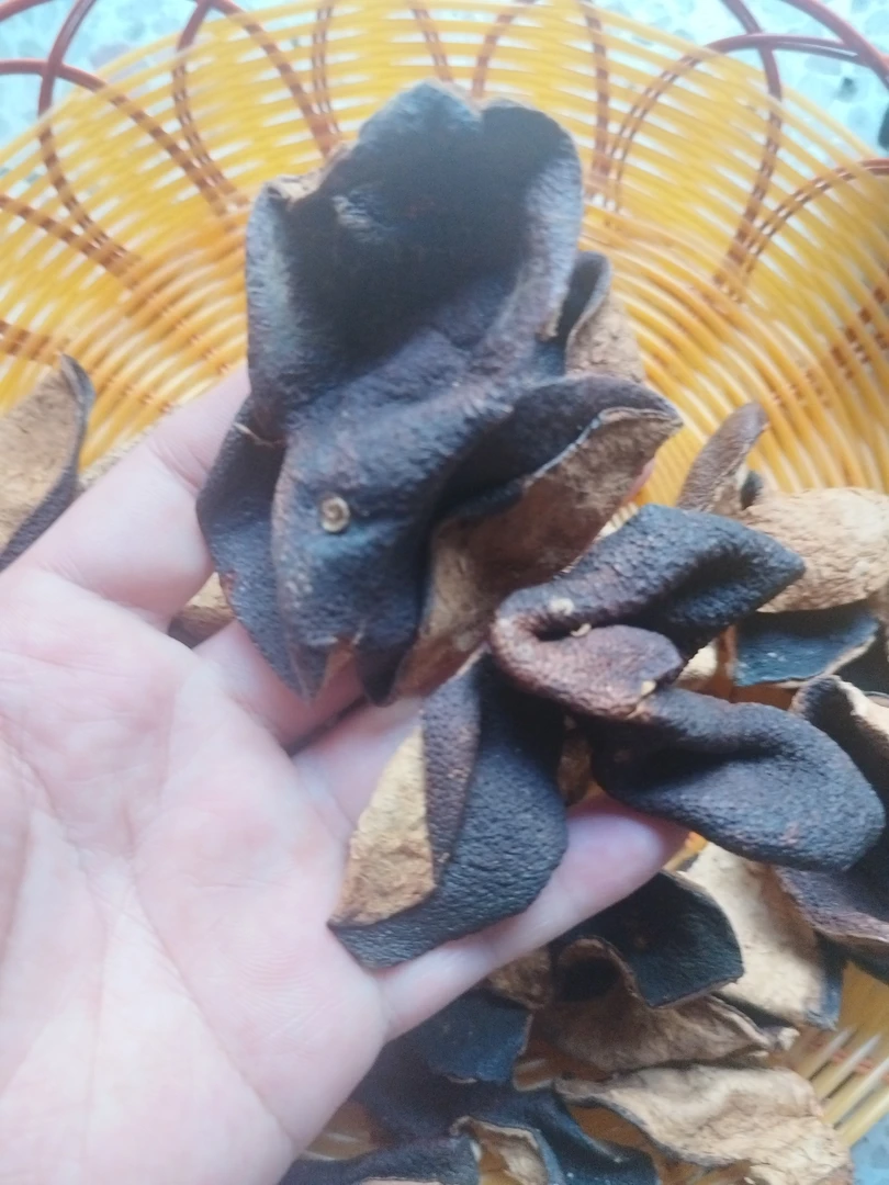 老陈皮,可泡水,煮水