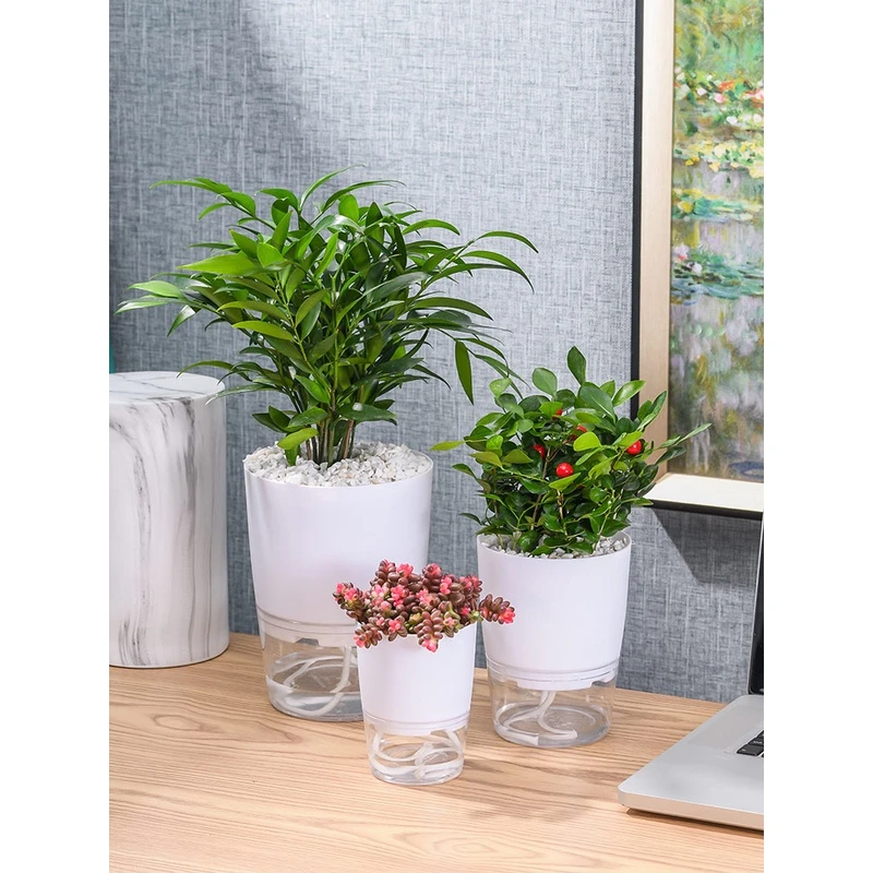 懒人花盆自吸水盆绿萝水养创意盆景透明塑料简约北欧网红水培器皿