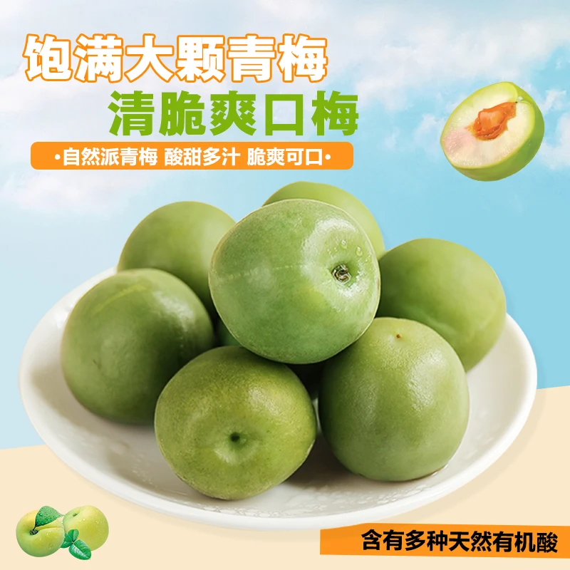 自然派冰脆青梅脆汁梅蜜饯酸渍饱满大颗梅子脆爽多汁开胃零食250g