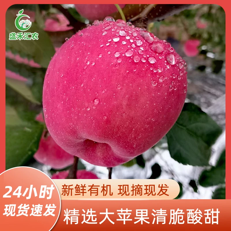 汇农优选静宁红富士大果