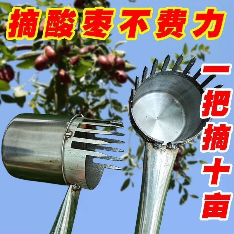 加厚新款摘酸枣神器不锈钢摘果器采果山枣柏树神器小枣工具扎手
