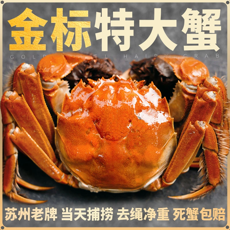 【活蟹现发】苏州莲花岛金标大闸蟹公3.9-3.6两+母2.9-2.6两8只T