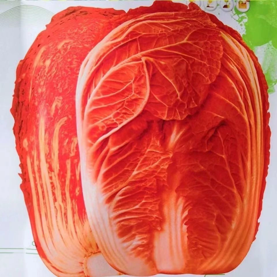 火凤凰大白菜种子红白菜籽抗病高产火锅橘红心白菜农家大田易种植