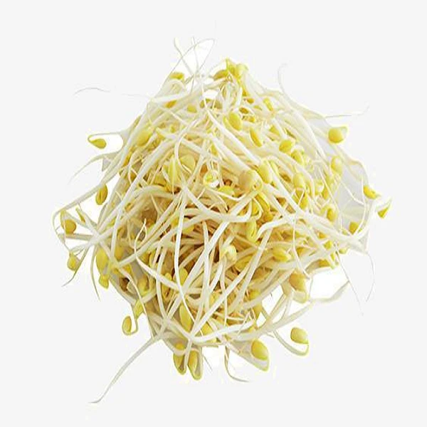 新鲜蔬菜 长黄豆芽 约400g±50g