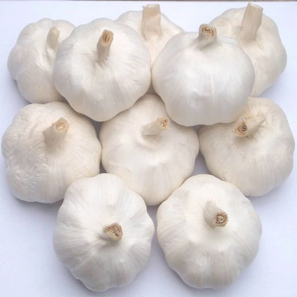 新鲜蔬菜 大蒜 约300g±50g