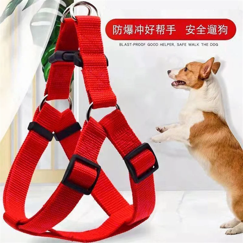 泰迪柯基拴狗脖套防脱狗狗三角背带单绳新款狗狗反光防丢狗狗绳子