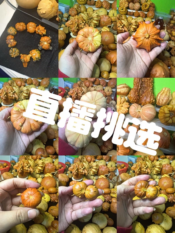 一物一拍天然葫芦（拍品以直播间实物为准，偏远补运）